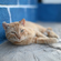 Nikon NIKKOR Z 50mm f/1.4: Picture 15 thumbnail
