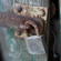 Nikon NIKKOR Z 50mm f/1.4: Picture 17 thumbnail