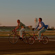 Nikon Z50II: Picture 21 thumbnail