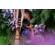 Nikon Z5: Picture 5 thumbnail