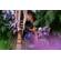 Nikon Z5: Picture 11 thumbnail