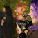 Nikon Z6III: Picture 19 thumbnail