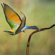 Nikon Z8: Picture 23 thumbnail