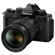Nikon Z f Mirrorless Camera with NIKKOR Z 24-70mm f/4 S Lens