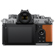 Nikon Z F: Picture 2 thumbnail
