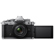 Nikon Z F: Picture 2 thumbnail