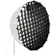 Nanlite Fabric Grid: Picture 1 thumbnail