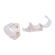 Nanlite Pavotube Transparent Polycarbona...: Picture 1 thumbnail