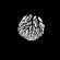 NanLite PJ-BM: Picture 5 thumbnail