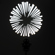 NanLite PJ-BM: Picture 6 thumbnail