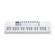 Novation Launchkey Mini 37 MK4: Picture 6 thumbnail