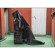Newswear Darkroom: Picture 5 thumbnail