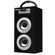 Naxa NAS-3036 Portable Speaker with USB and SD/MMC Inputs & FM Radio with Display, Silver: Picture 4 thumbnail