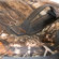 OtterBox Yampa 70: Picture 4 thumbnail
