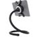 Octa Spider Monkey: Picture 1 thumbnail