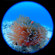 OM SYSTEM FCON-T02: Picture 3 thumbnail