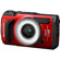 OM SYSTEM LG-1: Picture 3 thumbnail