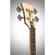Orange O-Bass: Picture 6 thumbnail