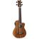 Ortega Guitars CAIMAN-FL-GB: Picture 3 thumbnail