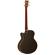 Ortega Guitars D558-4: Picture 2 thumbnail