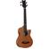 Ortega Guitars D-WALKER-MM: Picture 1 thumbnail