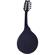 Ortega Guitars RMA5: Picture 1 thumbnail
