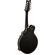 Ortega Guitars RMFE40S: Picture 1 thumbnail