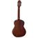 Ortega Guitars RSTP: Picture 2 thumbnail