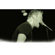 On-Stage Low Profile Mic Stand: Picture 5 thumbnail