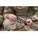 Otis Technology Brush: Picture 1 thumbnail