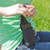 Op/Tech 6419264 Photo/Electric Pouch Min...: Picture 2 thumbnail
