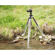 Op/Tech Tripod Sleeves: Picture 1 thumbnail