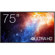 Optoma N-Series Display: Picture 1 thumbnail