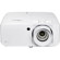Optoma ZH551: Picture 1 thumbnail