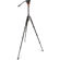 Padcaster Fluid Head Tripod/Monopod: Picture 2 thumbnail