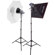 Interfit Photographic Interfit EX150 MKII Kit with 2 150W Seco...: Picture 1 thumbnail