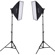 Interfit Photographic F5 Two-Head Lighting Kit: Picture 1 thumbnail