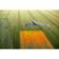 Parrot Disco-Pro AG: Picture 2 thumbnail