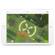 Parrot Disco-Pro AG: Picture 3 thumbnail