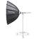 Parabolix 55" Reflector: Picture 4 thumbnail