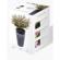 Parrot Flower Power Sensor: Picture 1 thumbnail
