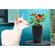Parrot Flower Power Sensor: Picture 3 thumbnail
