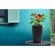 Parrot Flower Power Sensor: Picture 4 thumbnail
