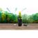 Parrot Flower Power Sensor: Picture 5 thumbnail