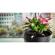 Parrot Flower Power Sensor: Picture 6 thumbnail