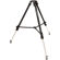 Proaim Gravity Tripod: Picture 1 thumbnail
