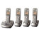 Panasonic KX-TG4024N: Picture 1 thumbnail