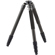 Photo Clam Professional 4: Picture 4 thumbnail