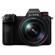 Panasonic DC-S1: Picture 1 thumbnail