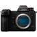 Panasonic DC-S1: Picture 1 thumbnail
